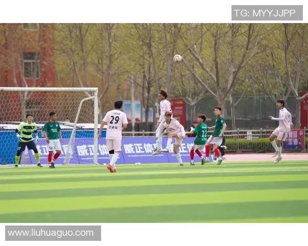 漯河足球明星盘点及其在国内外赛场上的精彩表现与成就