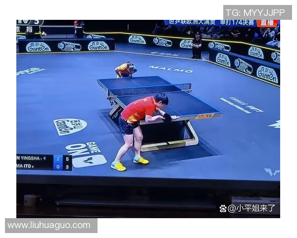 南京乒乓球队战术探讨：聚焦技术与团队配合的完美结合