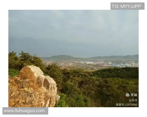 庄河足球明星全景盘点与历史成就回顾