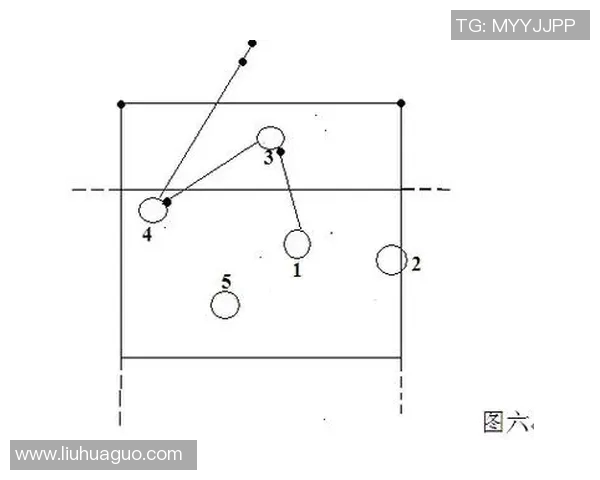 成都排球队反击战术解析与实战应用探讨