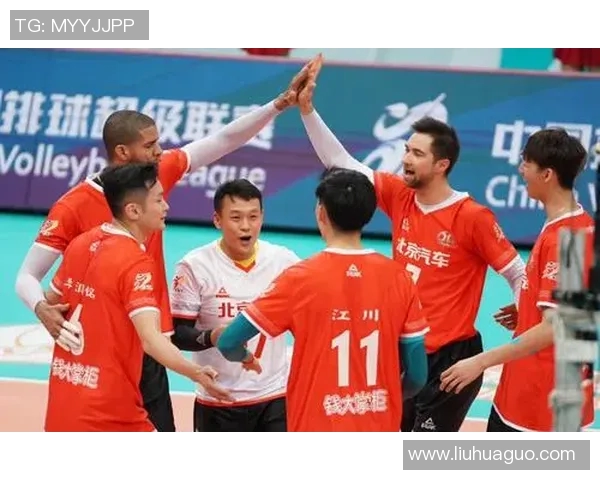 成都排球队战术引发热议球迷与专家观点大碰撞