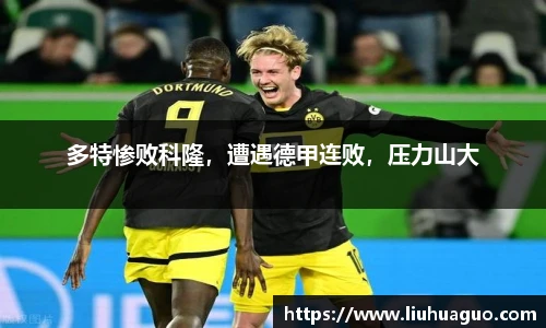 完美体育登录入口