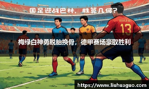 完美体育官网