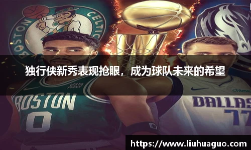 完美体育